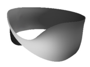 Рис. 1. Лента Мебиуса — полоска, обладающая только одной кромкой, а также только одной стороной. Оказывается, в световом поле трехмерного света вектора поляризации могут образовывать аналогичные структуры. Изображение с сайта math.uwaterloo.ca