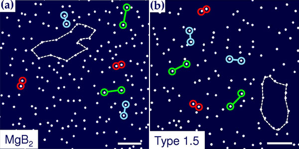 Неравномерное распределение магнитных вихрей в сверхпроводниках 1,5 рода: (а) экспериментальные данные для чистого монокристала диборида магния при температуре жидкого гелия в магнитном поле напряженностью 1 эрстед; (b) результат численного моделирования на основе теоретических расчетов