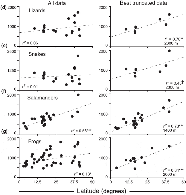 Изменение среднего диапазона высот обитания (в метрах) видов разных групп животных с увеличением географической широты — от экватора до 50о северной (или южной) широты. Отдельные точки соответствуют разным горным массивам. Слева — по полному набору данных, справа — скорректированные при учете разной высоты гор. Сверху вниз — ящерицы, змеи, саламандры, бесхвостые амфибии (лягушки, жабы). Видно, что для всех этих групп животных средний диапазон высот обитания возрастает с увеличением широты. Рис. из обсуждаемой статьи Кристи Маккейн