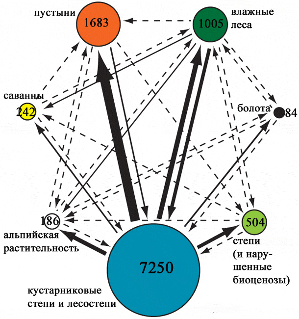 Сдвиги биомной принадлежности у видов-потомков по отношению к предкам (только в пределах материков). Размер кружков соответствует числу видов в конкретном биоме, а ширина стрелок — числу видов, сменивших экологическую приуроченность предков. Рис. из обсуждаемой статьи в Nature