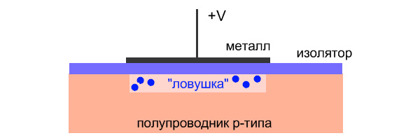 Рис. 5. Схема устройства простейшей МОП-структуры (рисунок И. Иванова)
