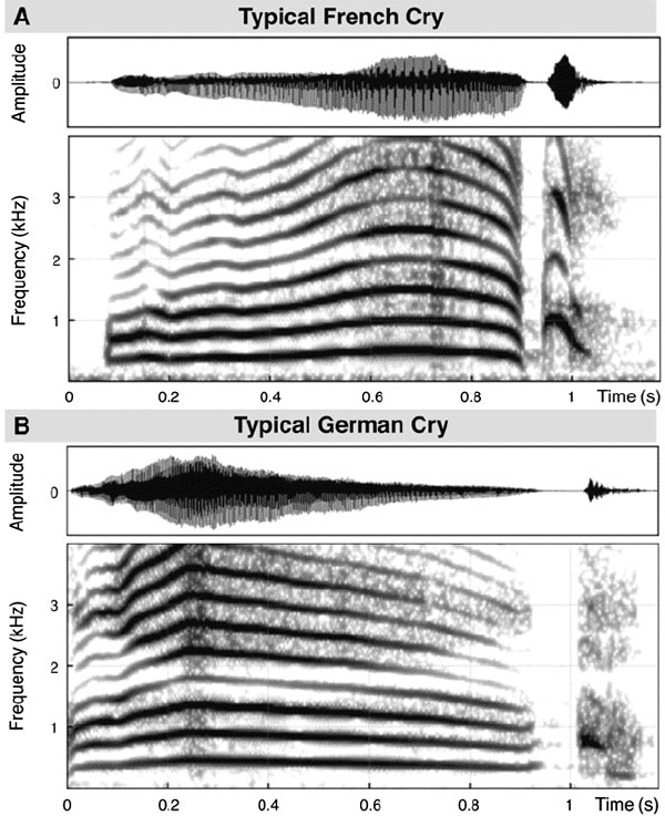 Рис. 2. Осциллограмма (вверху каждой пары графиков) и спектрограмма типичного французского (A) и типичного немецкого (B) крика. По оси абсцисс отложено нормализованное время. По оси ординат на осциллограмме — амплитуда звукового давления (интенсивность пропорциональна квадрату этой величины). По оси ординат на спектрограмме — частота в килогерцах. Интенсивность черного показывает интенсивность сигнала данной частоты в данный момент времени (то есть спектрограмма фактически является трехмерным графиком, третье измерение выражено цветом). Изображение из обсуждаемой статьи в Current Biology