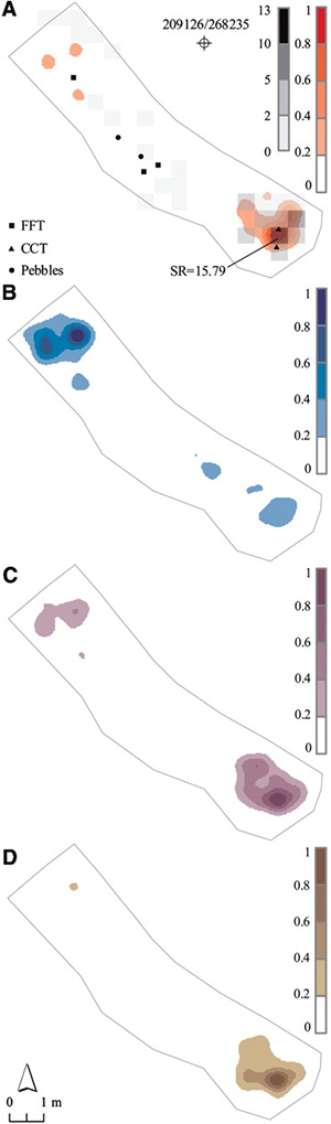 Распределение каменных орудий по территории стоянки: A — обожженные кремни (563 экземпляра), B — необожженные кремни (73 064 ! экземпляра), C и D — базальтовые (3889 штук) и известняковые (2654 штук) орудия соответственно. Цветом показана плотность находок. Рис. из статьи в Science