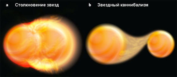 В соответствии с теорией звездной эволюции аномально массивные звезды — так называемые «голубые отставшие звёзды» — в звездных скоплениях могут возникать двумя разными путями: a — в результате столкновения звезд; b — в результате звездного каннибализма. Рис. из обсуждаемой статьи Melvyn B. Davies