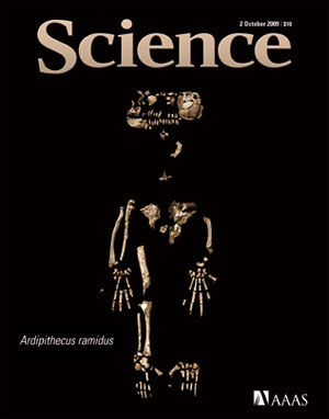 Изображение Арди однажды уже украшало обложку журнала Science — номер за 2 октября 2009 года, специальный выпуск, в котором были опубликованы 11 статей с детальным анализом ископаемого примата. Но в тот раз это был не реконструированный портрет, а сохранившиеся фрагменты скелета