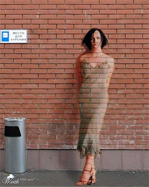 Различные типы обманных раскрасок — распространенная стратегия, дающая преимущество в выживании. Исследования показали, что особенно эффективна в борьбе за существование маскировка под различные предметы окружающей обстановки. Фото с сайта www.trendhunter.com