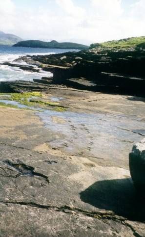 Следы древнейших четвероногих раньше были известны из Ирландии (на фото), они были обнаружены на острове Валентия в 1993 году; теперь в Польше найдены еще более древние отпечатки. Фото с сайта www.gsi.ie