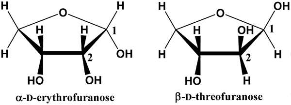 Два четырехуглеродных сахара (эритроза и треоза), которые получаются из двухуглеродного гликольальдегида в ходе новооткрытой химической реакции. Рис. из обсуждаемой статьи в Science