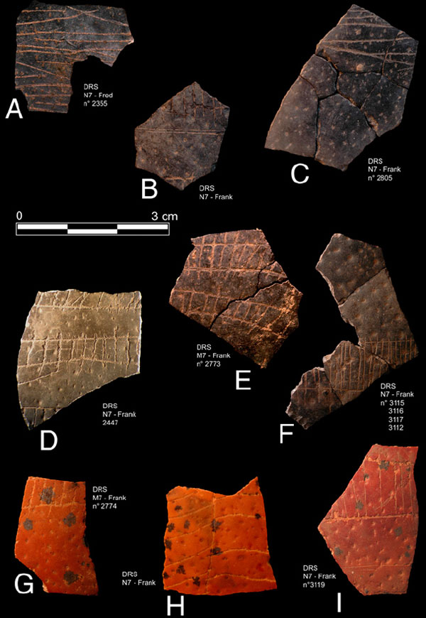 Рис. 1. Фрагменты скорлупы страусиных яиц с выгравированными узорами из пещеры Дипклоф, ЮАР. Иллюстрация из обсуждаемой статьи в PNAS