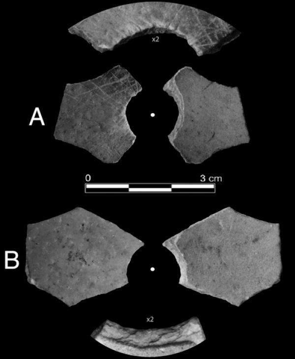 Рис. 3. Фрагменты скорлупы со следами пробитых отверстий. (A): с выгравированными линиями, начинающимися от отверстия, (B): без них. Диаметр отверстий оценивается в 12 мм. Иллюстрация из обсуждаемой статьи в PNAS