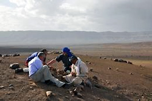 Эта негостеприимная пустыня на юго-востоке Марокко подарила палеонтологам роскошный подарок — еще одно местонахождение с уникальными древними животными. Фото из обзора: Nicola Jones «Weird wonders lived past the Cambrian» в Nature