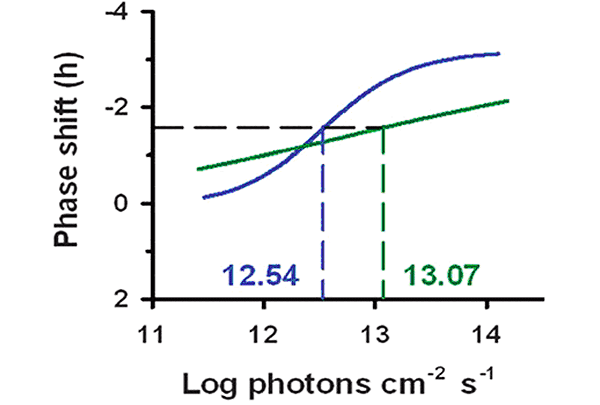 График зависимости фазового сдвига от дозы полученного света. Горизонтальный черный пунктир показывает половину от максимального сдвига суточного ритма, а цветные вертикальные пунктирные линии — соответствующие этому сдвигу значения дозы света. Изображение из обсуждаемой статьи в Science Translational Medicine