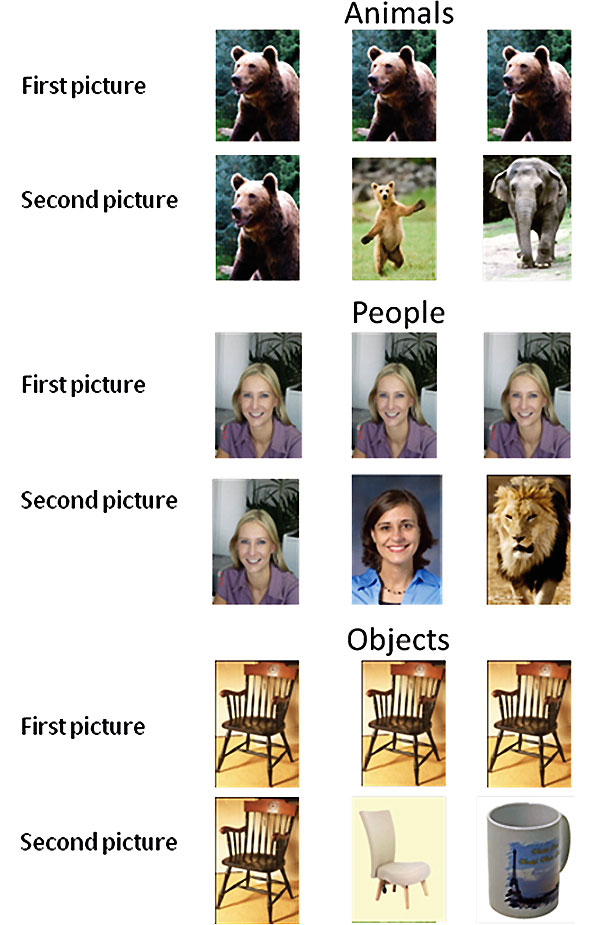 Примеры изображений, использовавшихся в первом эксперименте. В каждой из трех групп (животные, люди, неодушевленные предметы) выделялись три ситуации: одинаковые картинки (слева), разные картинки однотипных объектов (в середине) и изображения разных объектов (справа). Рисунок из обсуждаемой статьи в Evolutionary Psychology