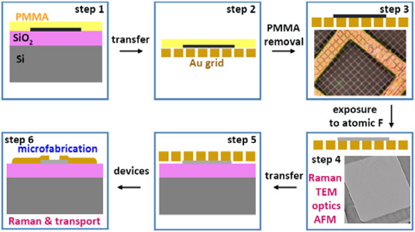 Рис. 1. От графена к флюорографену. Рисунок из обсуждаемой статьи