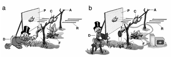 Рис. 2. Эволюция трехмерной томографии. Рисунок из книги J. Frank «Electron Tomography: Methods for Three-Dimensional Visualization of Structures in the Cell»