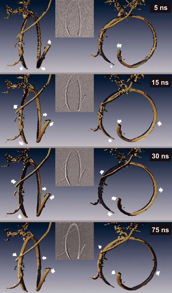 Рис. 4. Отдельные кадры из электронной 4D-томограммы углеродной нанотрубки для разных углов обзора и в разные промежутки времени. Изображение из обсуждаемой статьи в Science