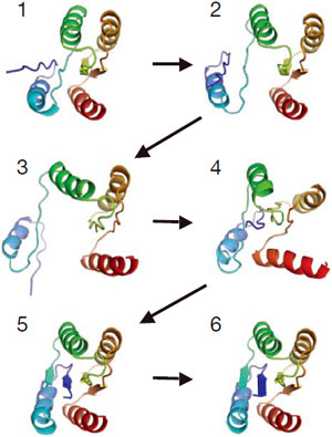 Пазл, в котором необходимо вначале «расплести» белковую цепочку, а потом сложить ее правильно. Изображение из обсуждаемой статьи в Nature