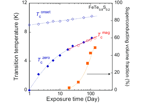 Рис. 2. Зависимость критических температур (правая ось ординат) поликристаллов FeTe0,8S0,2, а также объем сверхпроводящего состояния в процентах (левая ось ординат) от времени их экспозиции (в днях) в атмосфере. Подробности обозначений приведены в тексте. Изображение из обсуждаемой статьи в Phys. Rev. B