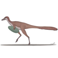 Некоторые виды мозазавров могли быть пресноводными