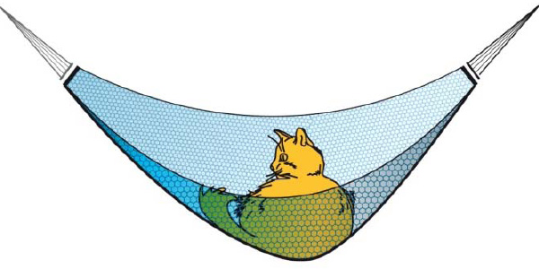 Рис. 4. Гипотетический пример, демонстрирующий механическую прочность графена. Графеновый гамак площадью 1 м2 (его масса меньше миллиграмма) способен выдержать взрослого кота массой 4 кг. Для сравнения: стальной гамак той же площади (если бы нам удалось его сделать той же толщины) удерживал бы в 100 раз меньше — всего 40 г. Изображение с сайта nobelprize.org