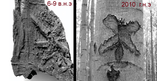 Рис. 1. Вырезанный на коре шестиконечный крест, датированный 6–9 веком (слева) и 2010 годом (справа). Фото из обсуждаемой статьи в Antiquity