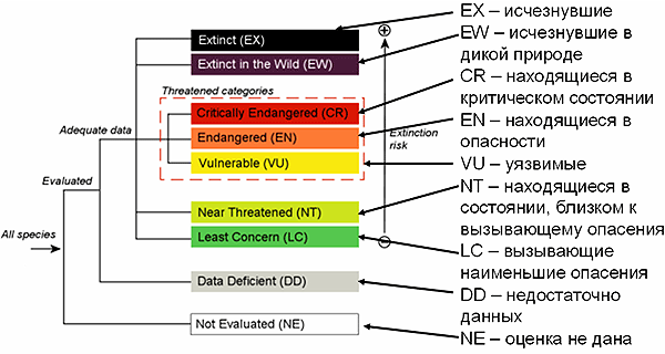 Рис. 1. Категории (статусы) состояния вида, принятые в международной Красной книге (IUCN Red List). Вероятность вымирания нарастает снизу вверх. (Названия категорий переведены Л. В. Полищуком и А. М. Гиляровым.) С сайта IUCN с изменениями