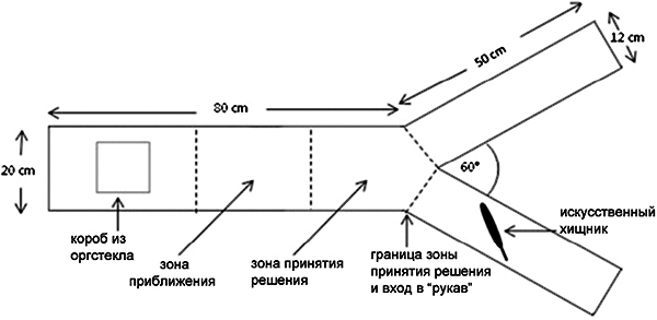 Рис. 1. Схема аквариума для эксперимента по принятию рыбками решений. Рис. из обсуждаемой статьи в PNAS