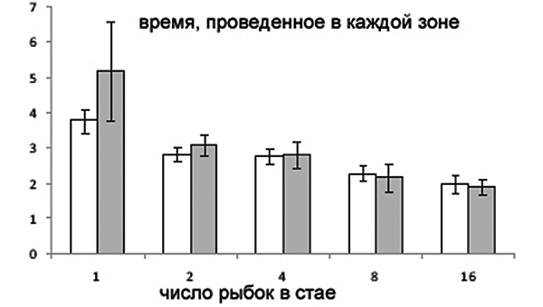 Рис. 3. Гистограмма, показывающая время (в секундах), проведенное рыбками в зоне приближения (белые столбики) и в зоне принятия решений (серые столбики). Рис. из обсуждаемой статьи в PNAS