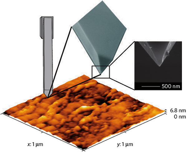 Рис. 3. Топография (рельеф поверхности) пленки ниобия, задействованной в эксперименте. Размер пленки 1 × 1 мкм. Снимок получен с помощью атомно-силового микроскопа. В верхней части рисунка — схематическое изображение иглы атомно-силового микроскопа и его снимок в правой части, полученный сканирующим электронным микроскопом. Рисунок из обсуждаемой статьи в Nature Materials