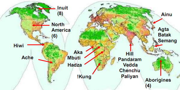 На карте плотности населения отмечены группы охотников-собирателей, данные по которым использованы в работе. Карта из дополнительных материалов к обсуждаемой статье Hill et al. в Science