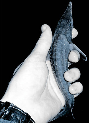 Фото с сайта agriculture.by