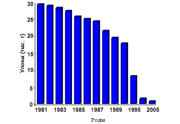 Естественные уловы осетровых рыб в мире. График с сайта aquafeed.ru