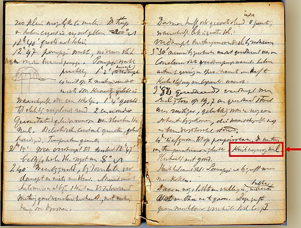 Страница из записной книжки Хейке Камерлинга-Оннеса, свидетельствующая о первом наблюдении сверхпроводимости. Из коллекции Музея Бургаве (Museum Boerhaave) в Лейдене. Фото из обсуждаемой статьи в Physics Today