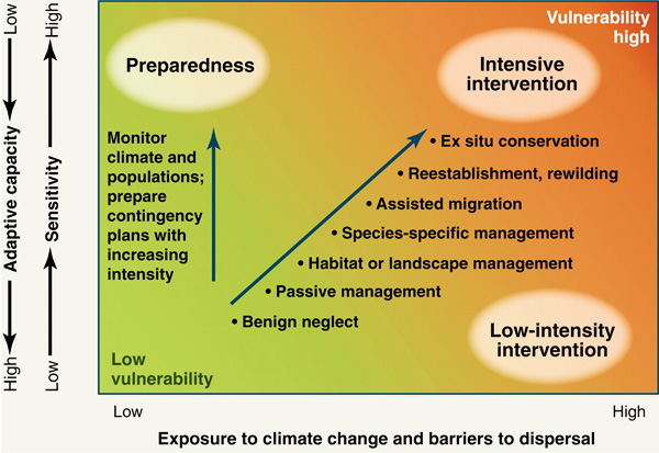 Рис. 2. Схема, показывающая разную уязвимость видов (или экосистем) к меняющемуся климату и степень необходимого вмешательства человека для их сохранения. Из обсуждаемой статьи в Science