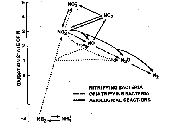 Степени окисления азота. Из статьи Davidson et al.