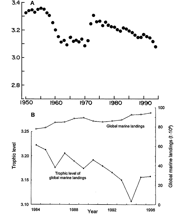 Рис. 1. A — график, иллюстрирующий постепенное снижение среднего трофического уровня в уловах (из статьи Pauly et al., 1998). B — изменение среднего трофического уровня уловов в 1984–1999 гг. без учета марикультуры (из статьи Pauly et al., 1998a). Верхняя кривая на графике — мировые уловы в море (правая ось, млн тонн в год)