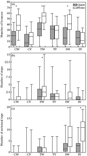 Рис. 3. Среднее число (а) качаний, (b) шагов и (c) ощупываний антеннами в различных сериях экспериментов. Рисунок из обсуждаемой статьи в Animal Behaviour