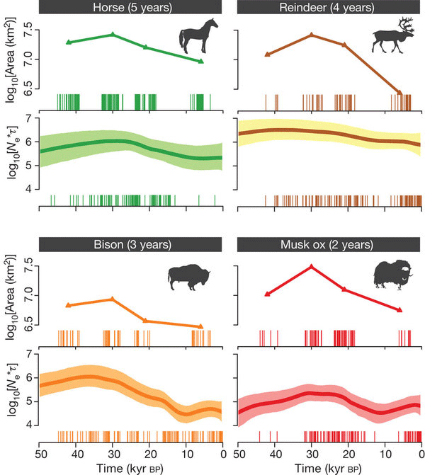 Для каждого животного верхний график — размер ареала, нижний — численность вида. Рис. из обсуждаемой статьи в Nature