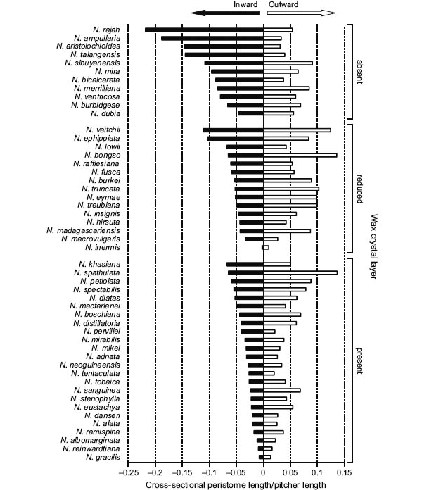 Рис. 4. Диаграмма иллюстрирует увеличение ширины и удлинение внутренней части перистома в зависимости от увеличения поверхности, покрытой восковым слоем. Рисунок из обсуждаемой статьи в Journal of Evolutionary Biology