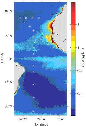 Расположение станций (точек отбора проб фитопланктона) научно-исследовательского судна <i>Hespérides</i> в Атлантическом океане.
