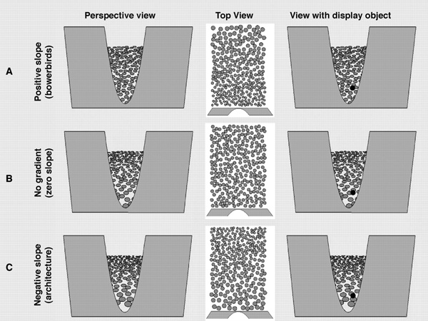 Оптические иллюзии, возникающие из-за расположения предметов разного размера по градиенту