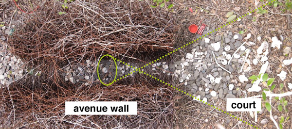 Вид сверху на шалаш и одну из площадок