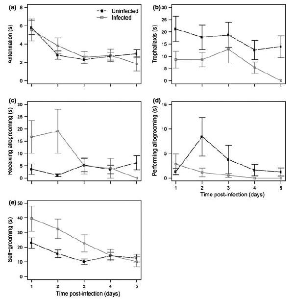 Средняя продолжительность различных поведенческих актов у здоровых и зараженных муравьев в течение пяти дней после заражения