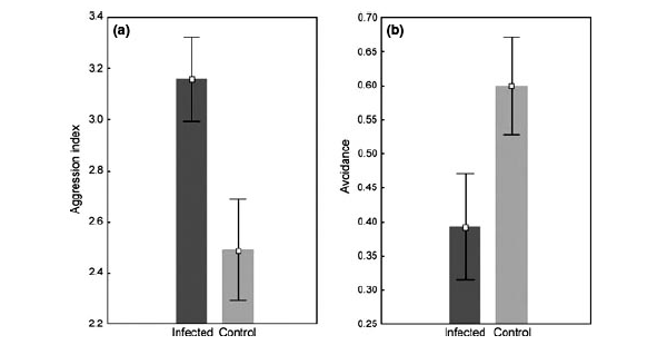 Степень агрессивности и поведение избегания у зараженных и здоровых муравьев по отношению к особям из чужой колонии