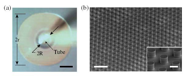 Вид сверху на вытекшую из трубки (tube) диаметром 2R чернильную каплю размером 2r
