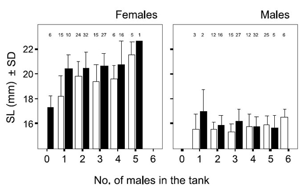 Зависимость размера потомства от степени сексуального насилия над матерью-рыбкой