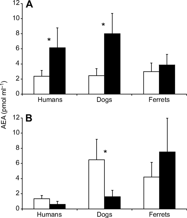 Изменения концентрации анандамида в плазме крови до и после упражнений на беговой дорожке