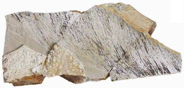 Отпечатки длинных покровных нитевидных структур вдоль плечевой кости Yutyrannus huali