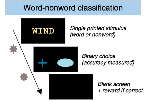 Схема эксперимента