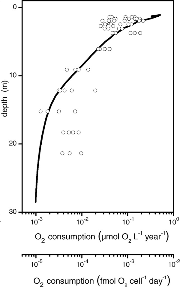 Кривая содержания кислорода в осадке в пересчете на объемные единицы в год